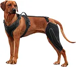 Dog Knee Brace is a new upgraded design to protect your dog's knee brace for dogs with knee dysplasia that can't walk properly.Helps dogs with loss of stability due to injury, improves balance between muscle groups and provides adequate support.